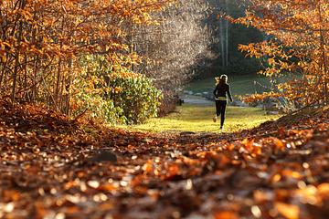 Freizeitunfälle im Herbst